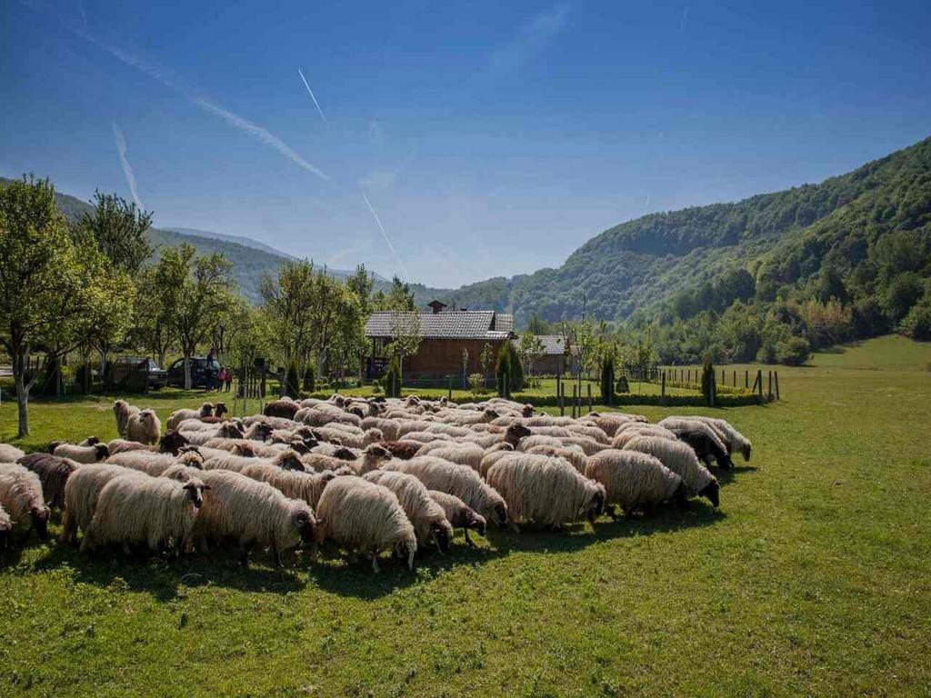 Vila Rest House Ripac Bihać Exteriér fotografie